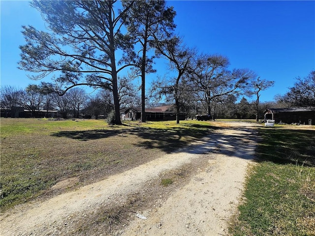 view of street with driveway