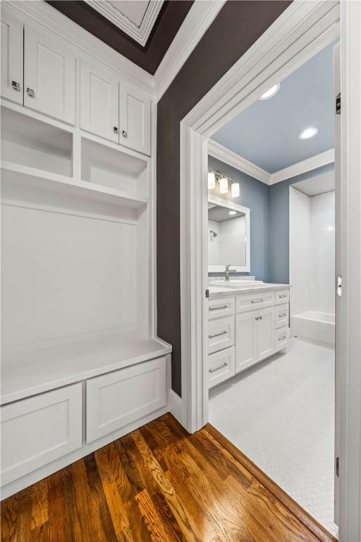 mudroom featuring sink, dark hardwood / wood-style floors, and ornamental molding