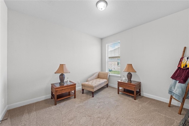 sitting room with light carpet