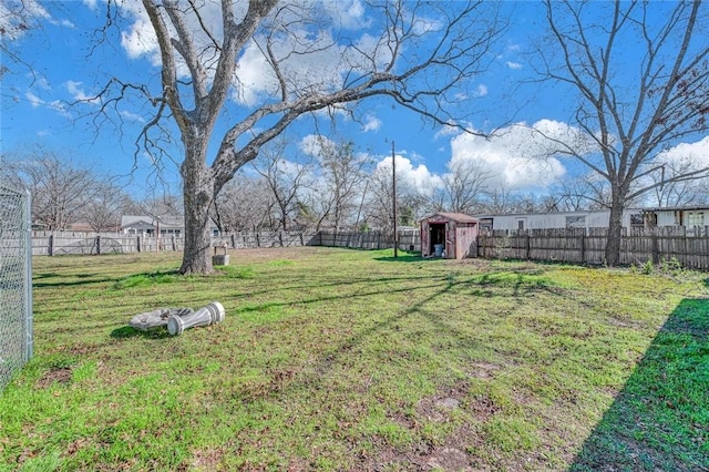 view of yard with a storage shed