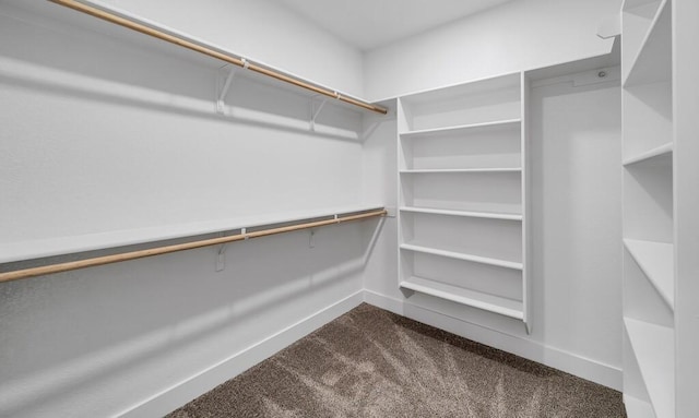 spacious closet featuring carpet floors