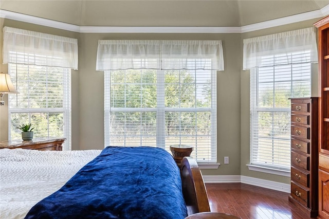 bedroom featuring crown molding and dark wood-type flooring