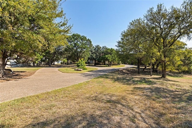 view of community featuring a lawn