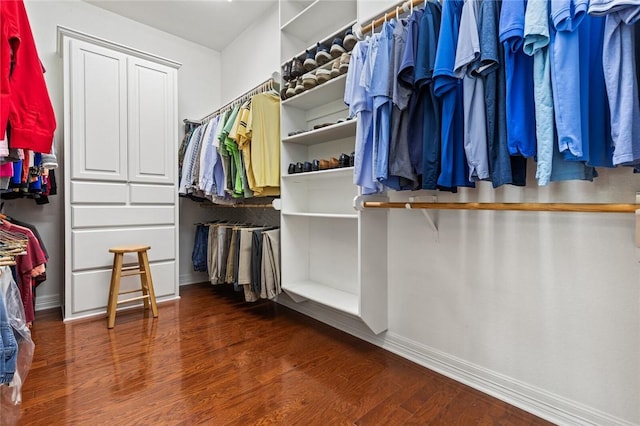 spacious closet featuring dark hardwood / wood-style flooring