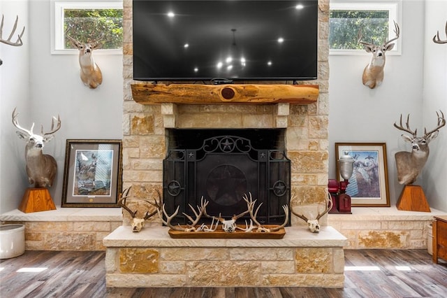 room details featuring a fireplace and hardwood / wood-style floors