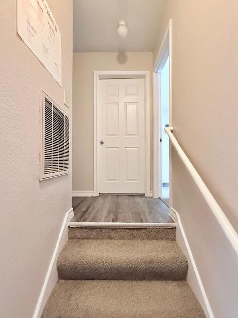 stairs featuring carpet flooring