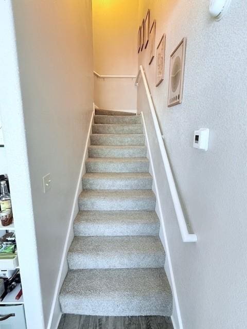 stairs with hardwood / wood-style flooring