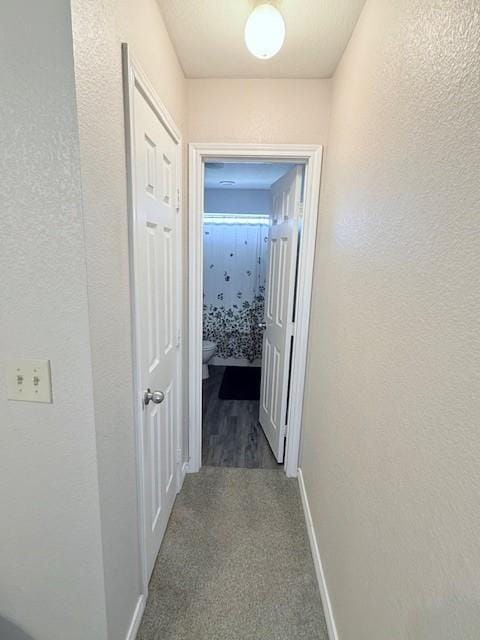 hallway with carpet