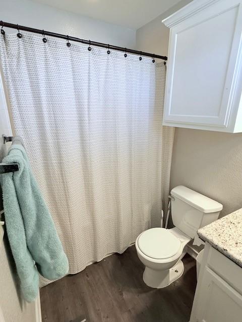 bathroom with vanity, wood-type flooring, and toilet