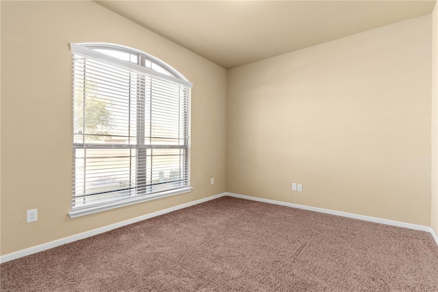 unfurnished room featuring carpet floors