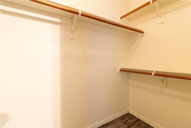 walk in closet featuring dark wood-type flooring