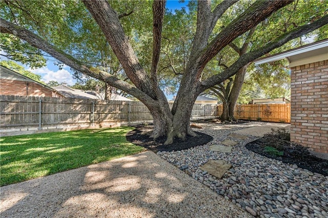 view of yard featuring a patio area