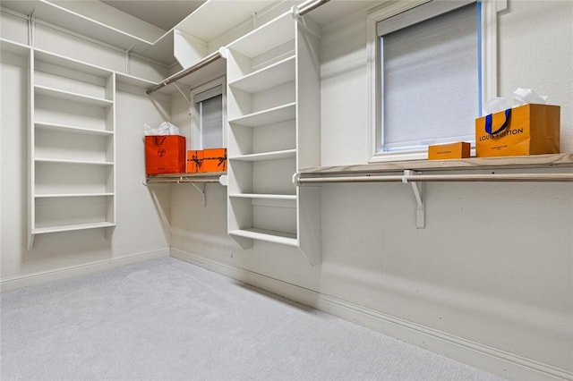 walk in closet featuring light colored carpet