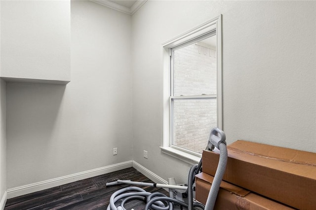 interior space featuring crown molding and dark wood-type flooring