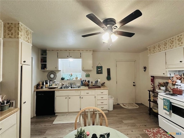 kitchen featuring sink, light hardwood / wood-style flooring, a textured ceiling, white electric stove, and dishwasher