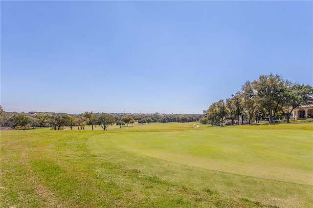 view of community with a yard