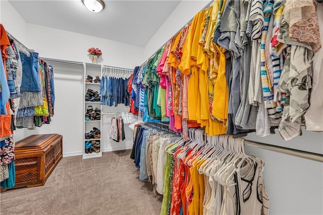 walk in closet with carpet floors