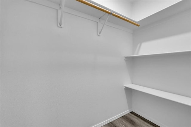 walk in closet with dark hardwood / wood-style flooring