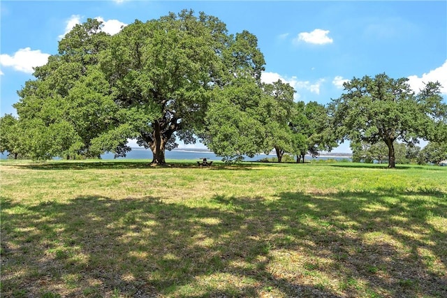 view of yard featuring a water view