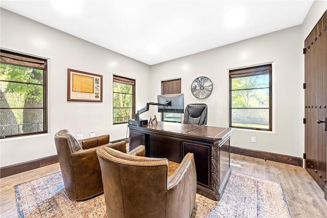 office area featuring light hardwood / wood-style floors and a wealth of natural light