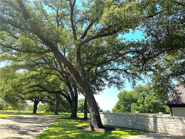 view of community