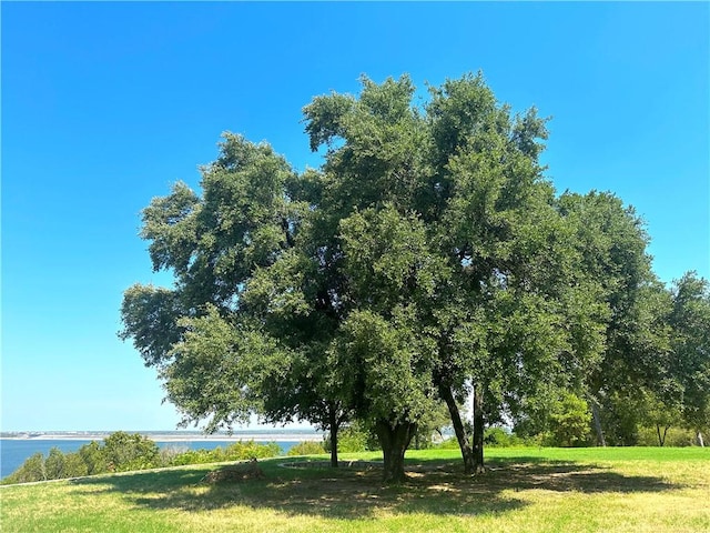 view of local wilderness with a water view