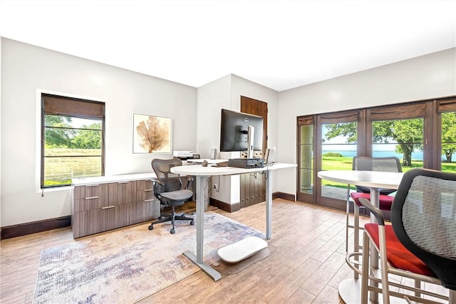 office space featuring light wood-type flooring and a wealth of natural light