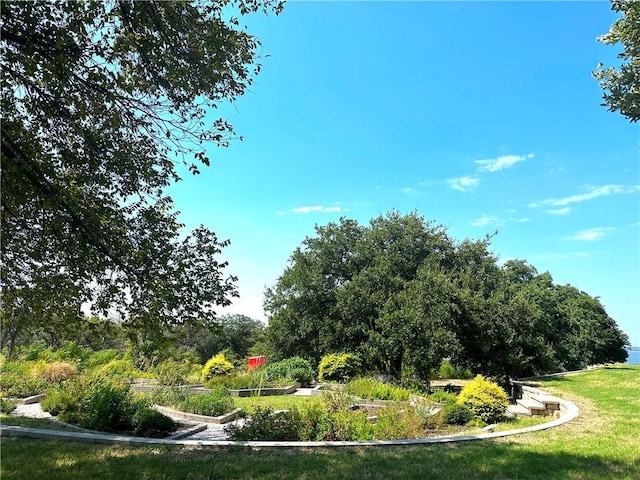 view of property's community with a yard