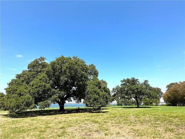 view of home's community with a yard