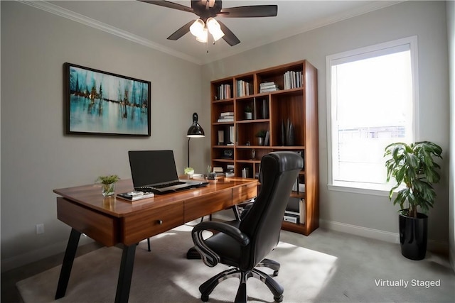 carpeted office featuring ceiling fan and crown molding