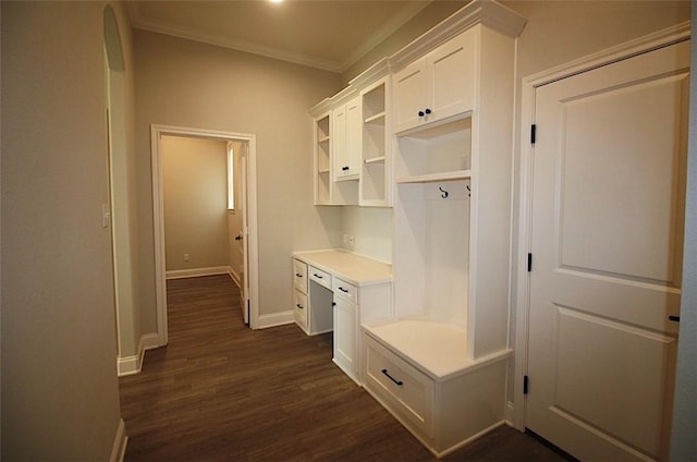 mudroom featuring dark hardwood / wood-style flooring and crown molding