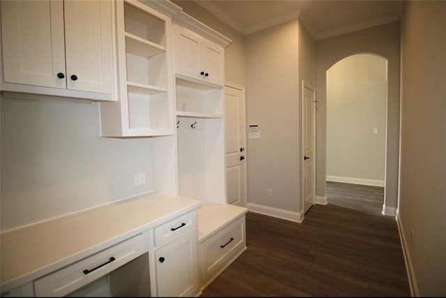 mudroom featuring crown molding and dark wood-type flooring