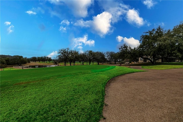 view of community featuring a yard