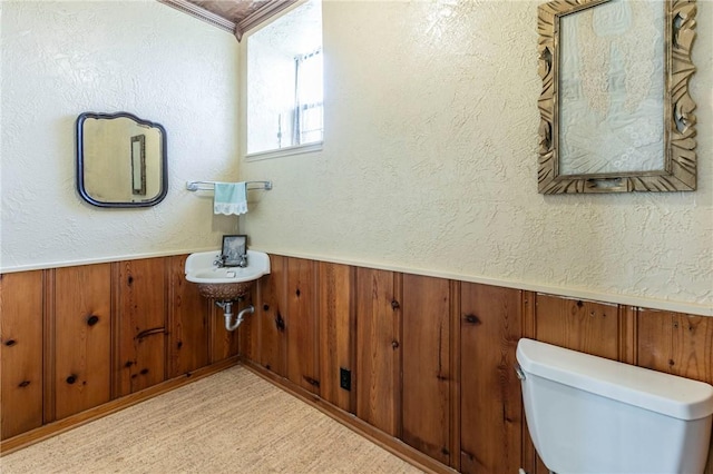 bathroom with a wainscoted wall, wooden walls, and a textured wall