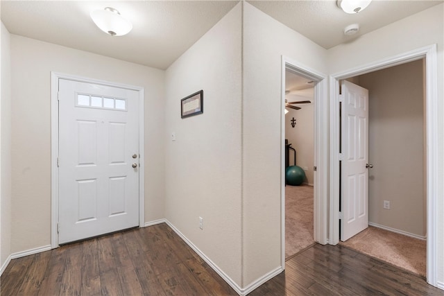 entryway featuring dark hardwood / wood-style flooring