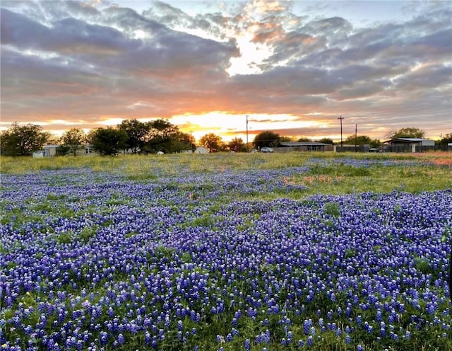 view of yard at dusk