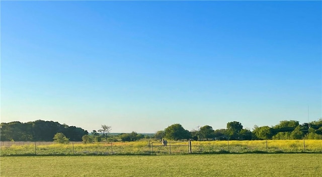 view of yard featuring a rural view