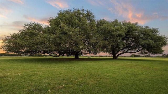 surrounding community featuring a lawn