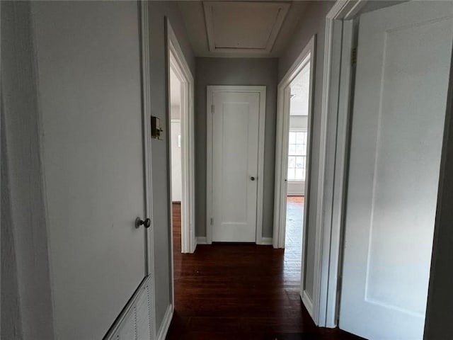 hallway featuring dark wood-type flooring