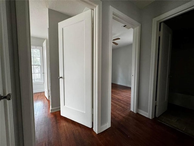 hall featuring dark hardwood / wood-style floors