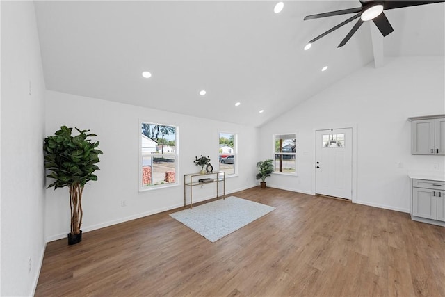 entrance foyer with ceiling fan, plenty of natural light, and light hardwood / wood-style flooring