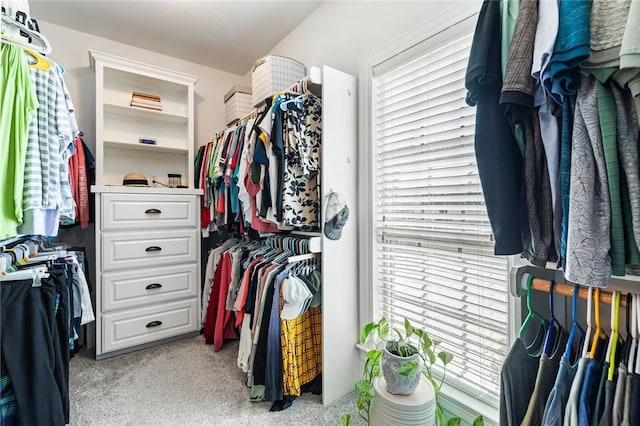 spacious closet featuring light carpet