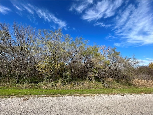 23030 Westmeadow Dr, Whitney TX, 76692 land for sale