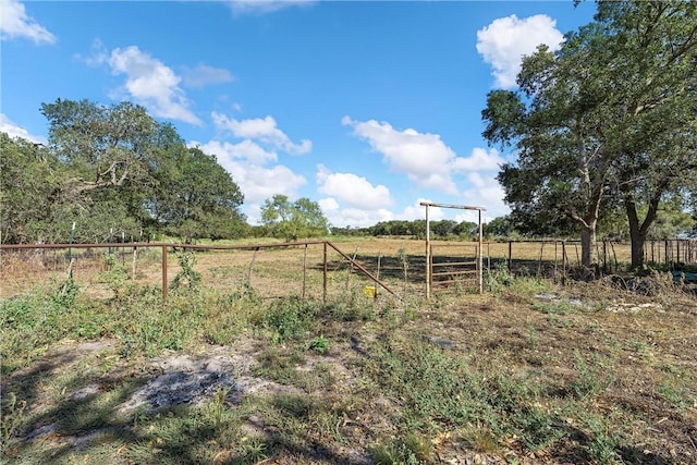 view of yard featuring a rural view