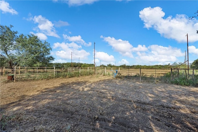 view of yard with a rural view