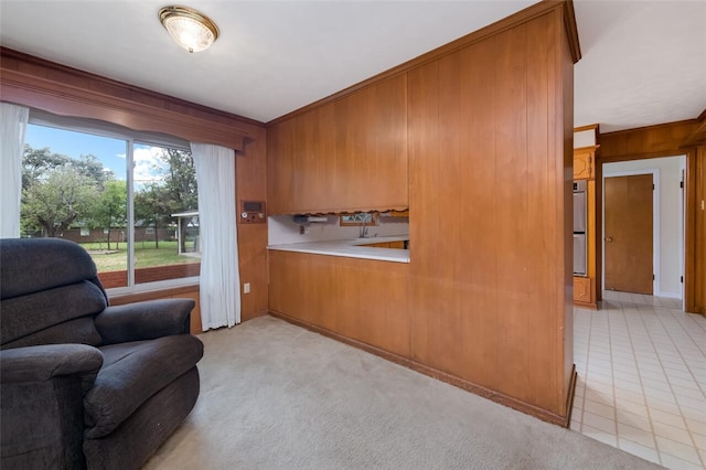 living area featuring wood walls and light colored carpet