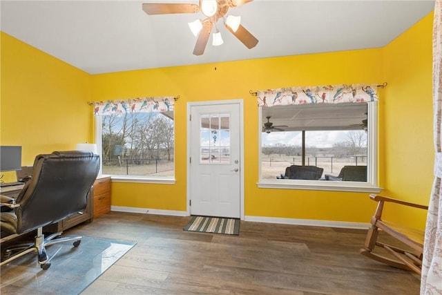 office space featuring ceiling fan and hardwood / wood-style floors