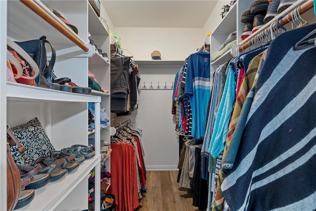 spacious closet with hardwood / wood-style floors