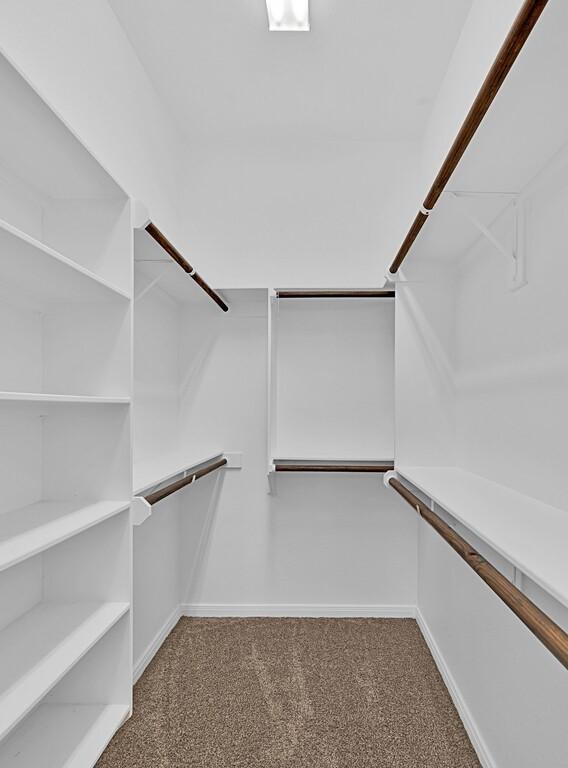 spacious closet with carpet floors