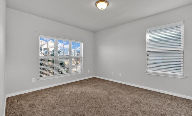 unfurnished room featuring carpet flooring